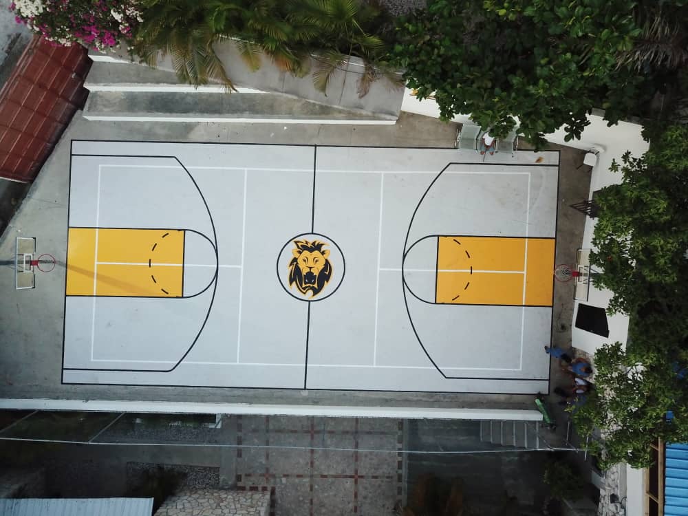 Aerial view of school basketball court with lion logo